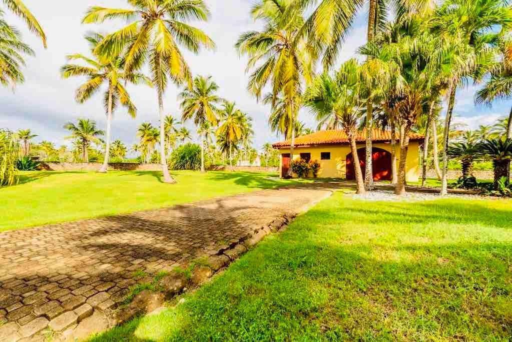 Palm House - Luxury Villa - Samana - Ocean Front Sánchez Eksteriør billede