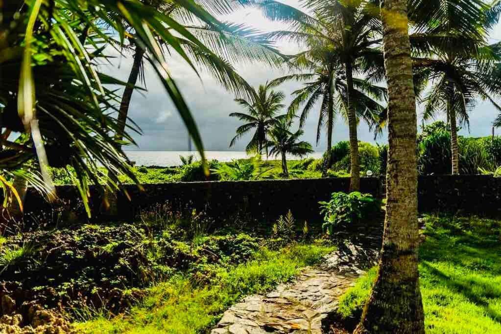 Palm House - Luxury Villa - Samana - Ocean Front Sánchez Eksteriør billede