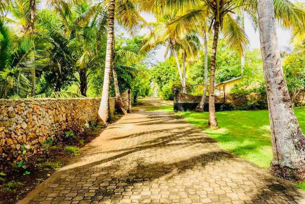 Palm House - Luxury Villa - Samana - Ocean Front Sánchez Eksteriør billede