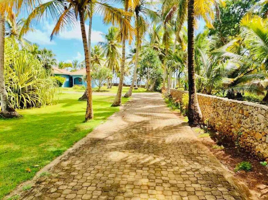 Palm House - Luxury Villa - Samana - Ocean Front Sánchez Eksteriør billede